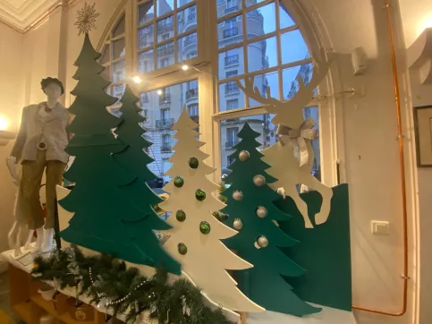 vitrine avec les sapins
