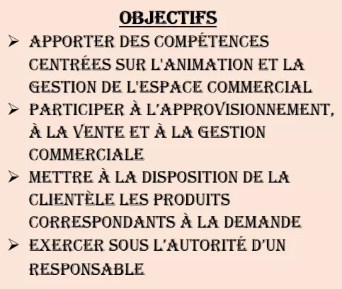 Objectifs Bac Pro MCV