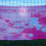 poster octobre rose cancer sein
